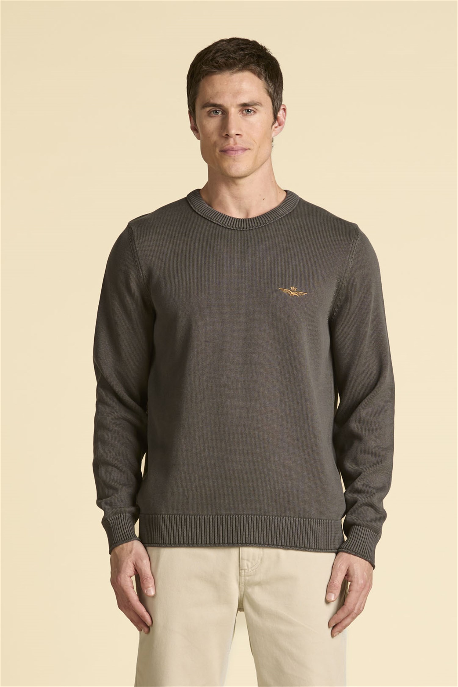 AERONAUTICA MILITARE 252MA1610UL00556 Grigio Abbigliamento Uomo Maglioni