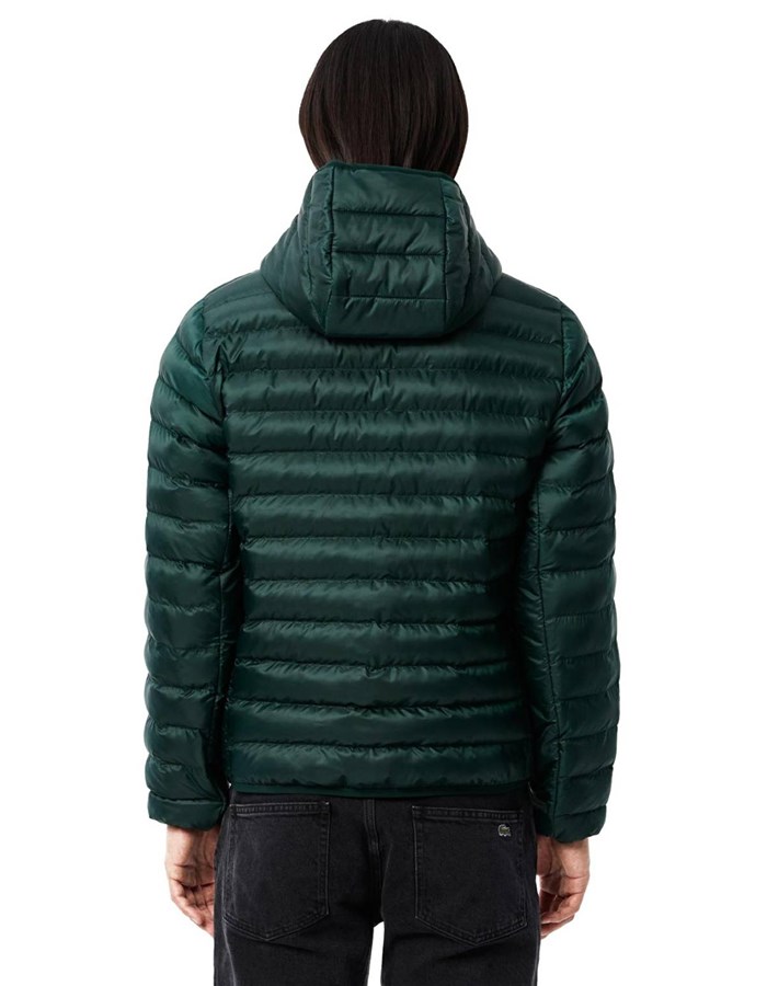 Lacoste Giacca Verde