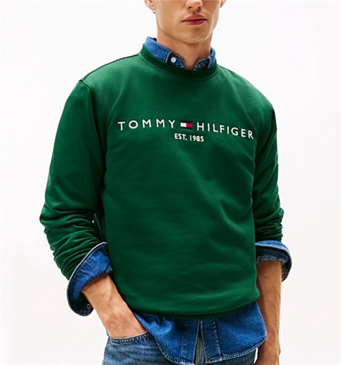 TOMMY HILFIGER MW0MW11596 Verde Abbigliamento Uomo Felpa